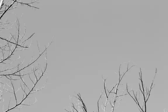 XCasino Casino Suporte